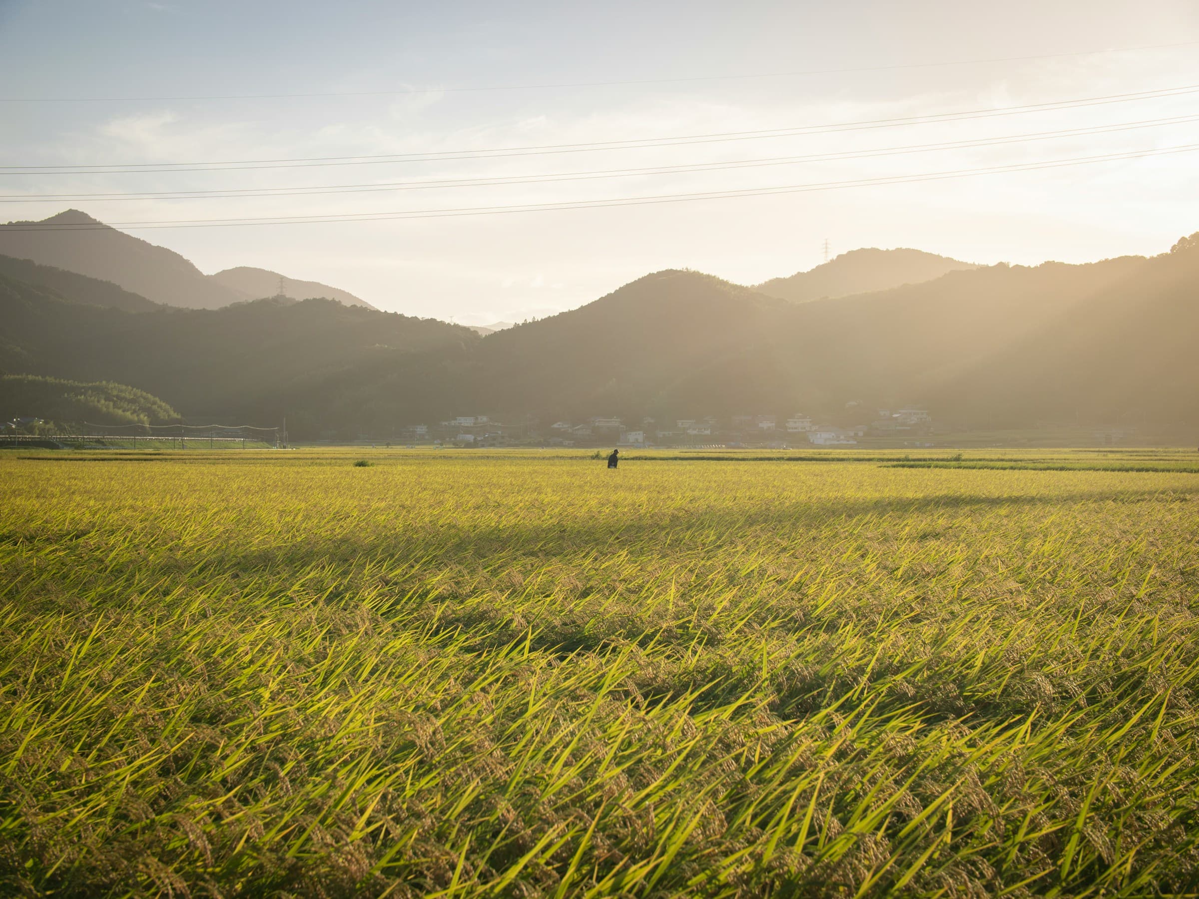山を背景に野原に立つ人